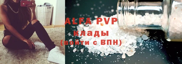ешки Белокуриха