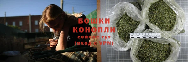ешки Белокуриха