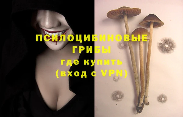 ешки Белокуриха